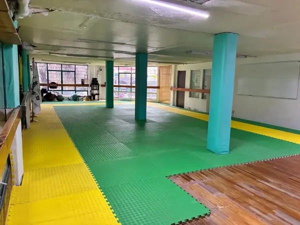 Edificio en venta en San Pedro de los Pinos, Benito Juárez — foto 3 de 6