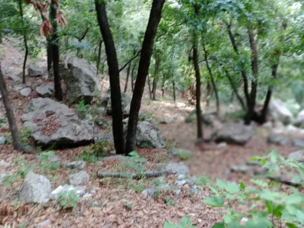 Terreno en venta en San Francisco, Santiago — foto 3 de 4