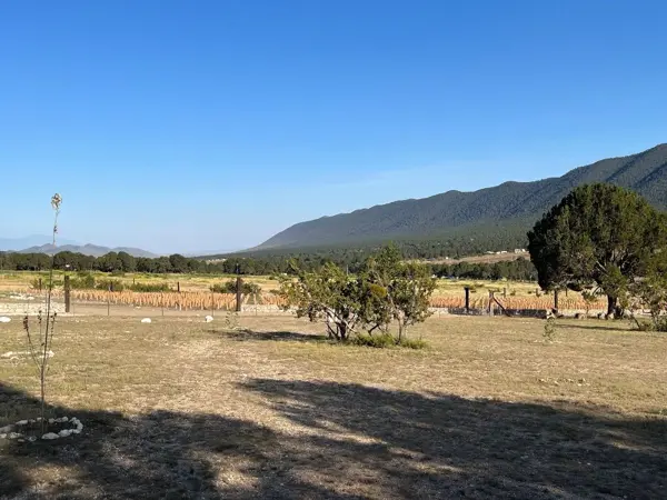 Terreno en venta en Huachichil (El Huache), Arteaga — foto 2 de 6