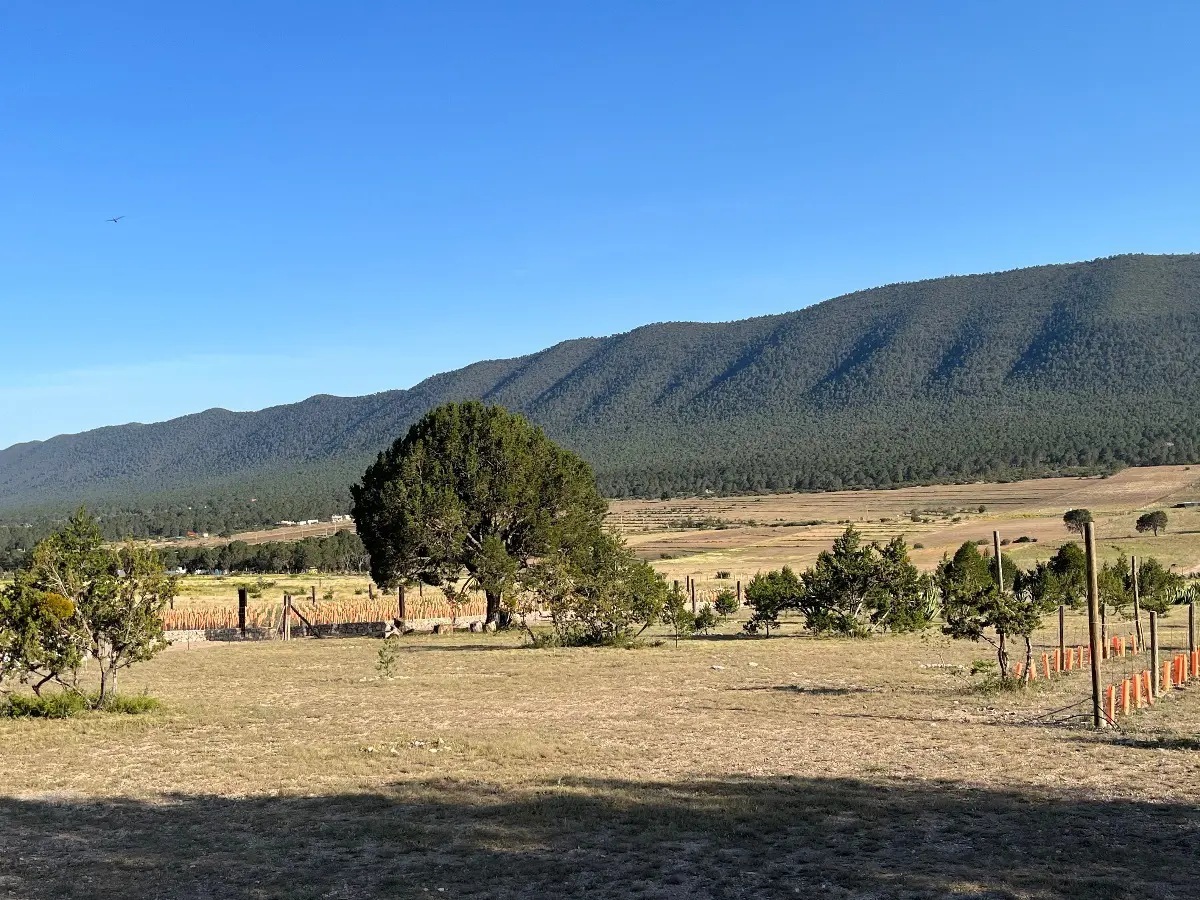 Terreno en venta en Huachichil (El Huache), Arteaga — foto 1 de 6