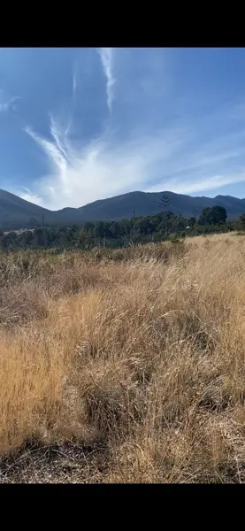 Terreno en venta en Huachichil (El Huache), Arteaga — foto 2 de 5