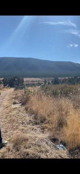 Terreno en venta en Huachichil (El Huache), Arteaga — foto 3 de 5
