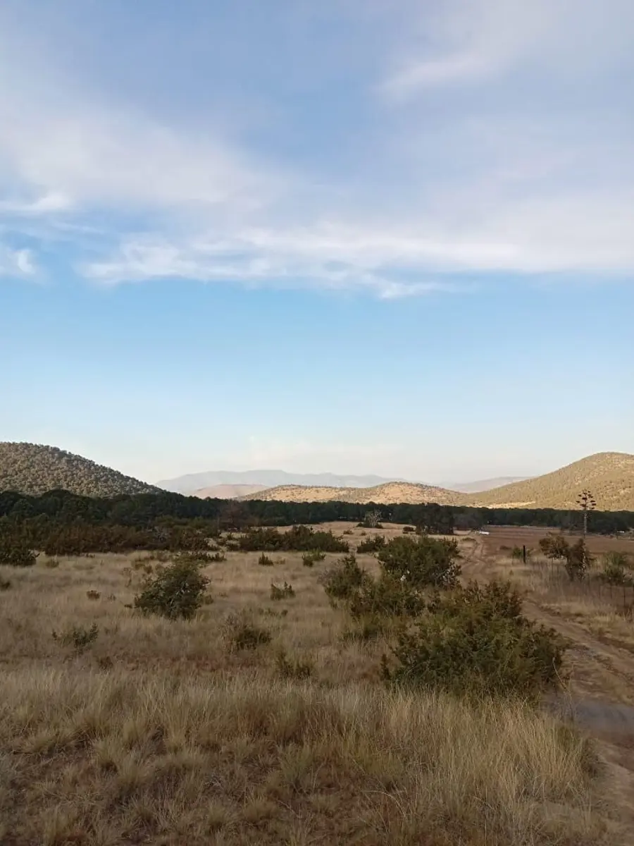 Terreno en venta en Huachichil (El Huache), Arteaga — foto 1 de 5