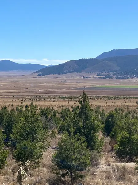 Terreno en venta en Huachichil (El Huache), Arteaga — foto 3 de 5