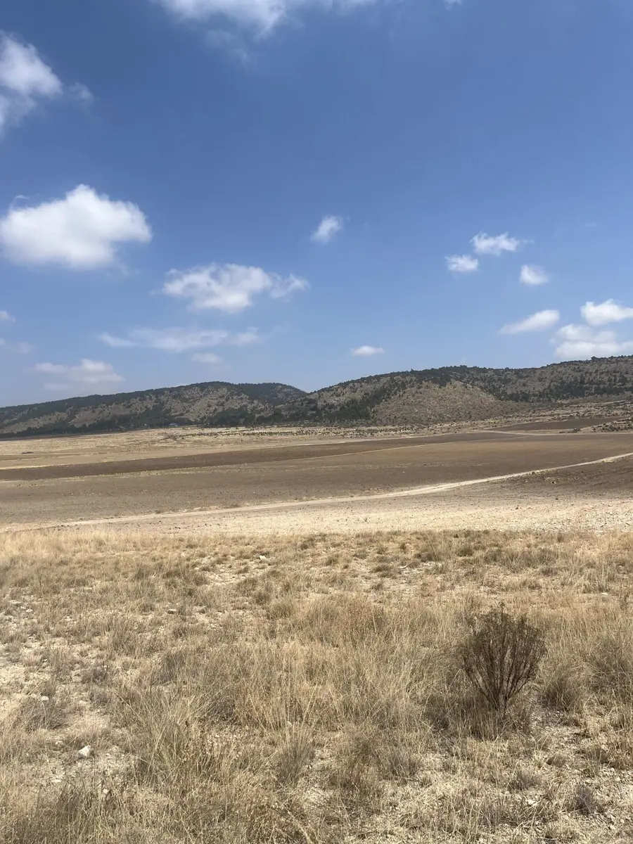 Terreno en venta en El Poleo, Arteaga — foto 1 de 6