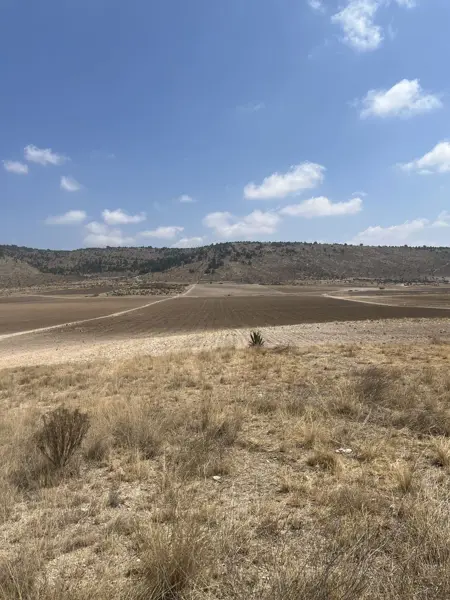 Terreno en venta en El Poleo, Arteaga — foto 3 de 6