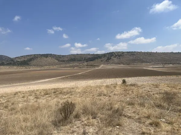 Terreno en venta en El Poleo, Arteaga — foto 2 de 6