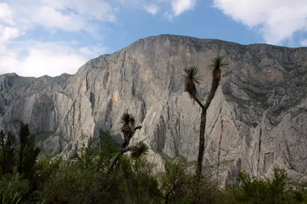 Terreno en venta en La Huasteca 1er Sect, Santa Catarina — foto 3 de 13