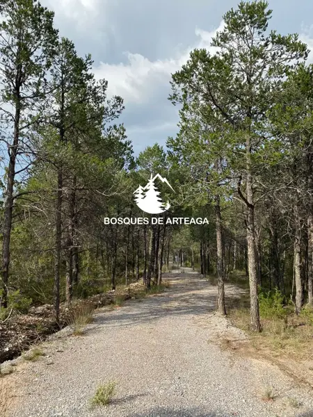 Terreno en venta en El Diamante, Arteaga — foto 2 de 3