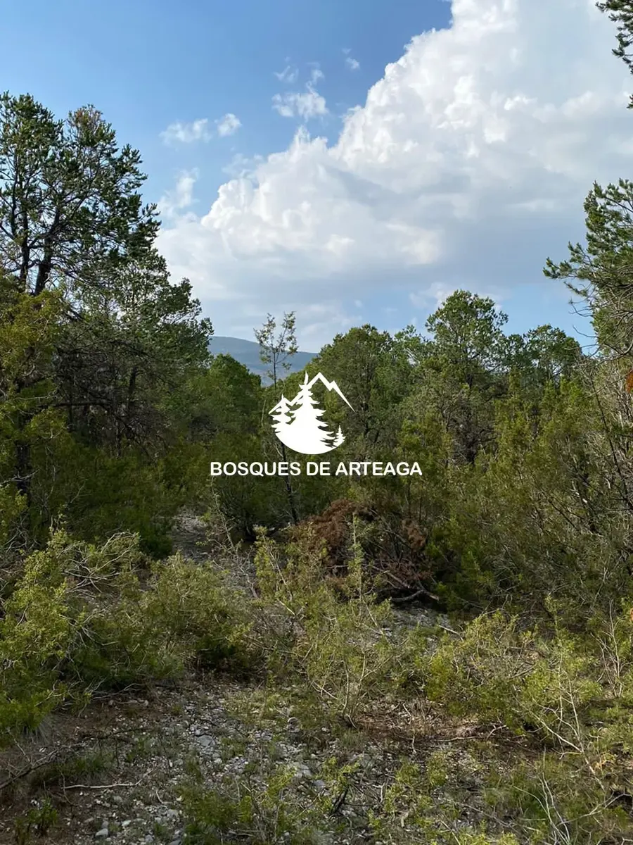 Terreno en venta en El Diamante, Arteaga — foto 1 de 3