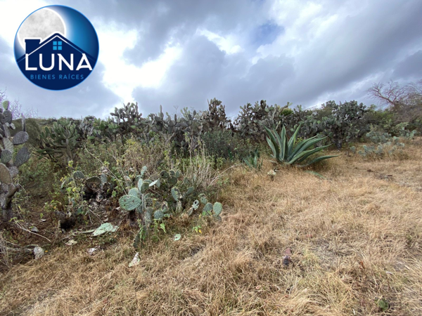 Terreno Habitacional en Venta en Cristalino Manantial Escondido, Chapantongo, Hidalgo Terreno Habitacional en Venta en Cristalino Manantial Escondido, Chapantongo, Hidalgo