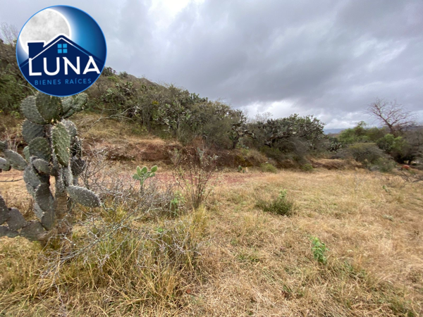 Terreno en venta en La Loma, Chapantongo — foto 2 de 8