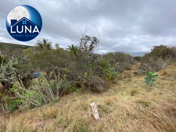 Terreno en venta en La Loma, Chapantongo — foto 3 de 8