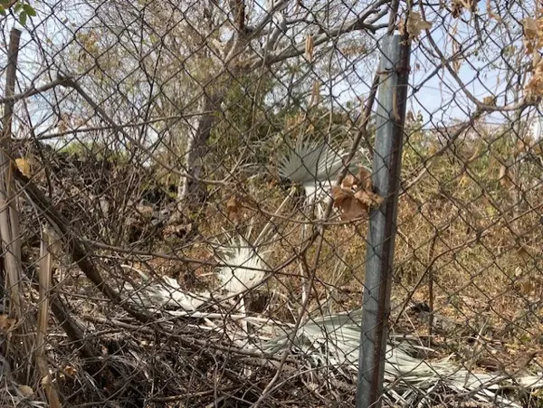 Terreno en venta en Brisas, Temixco — foto 3 de 8