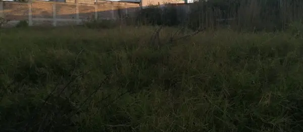 Terreno en venta en Belisario Domínguez, Comitán de Domínguez — foto 3 de 15