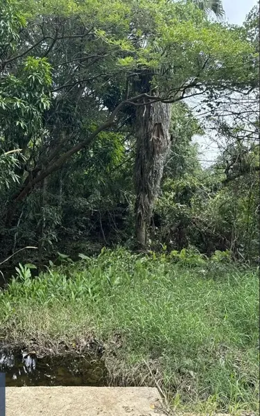 Terreno en venta en San Fernando Centro, San Fernando — foto 3 de 20