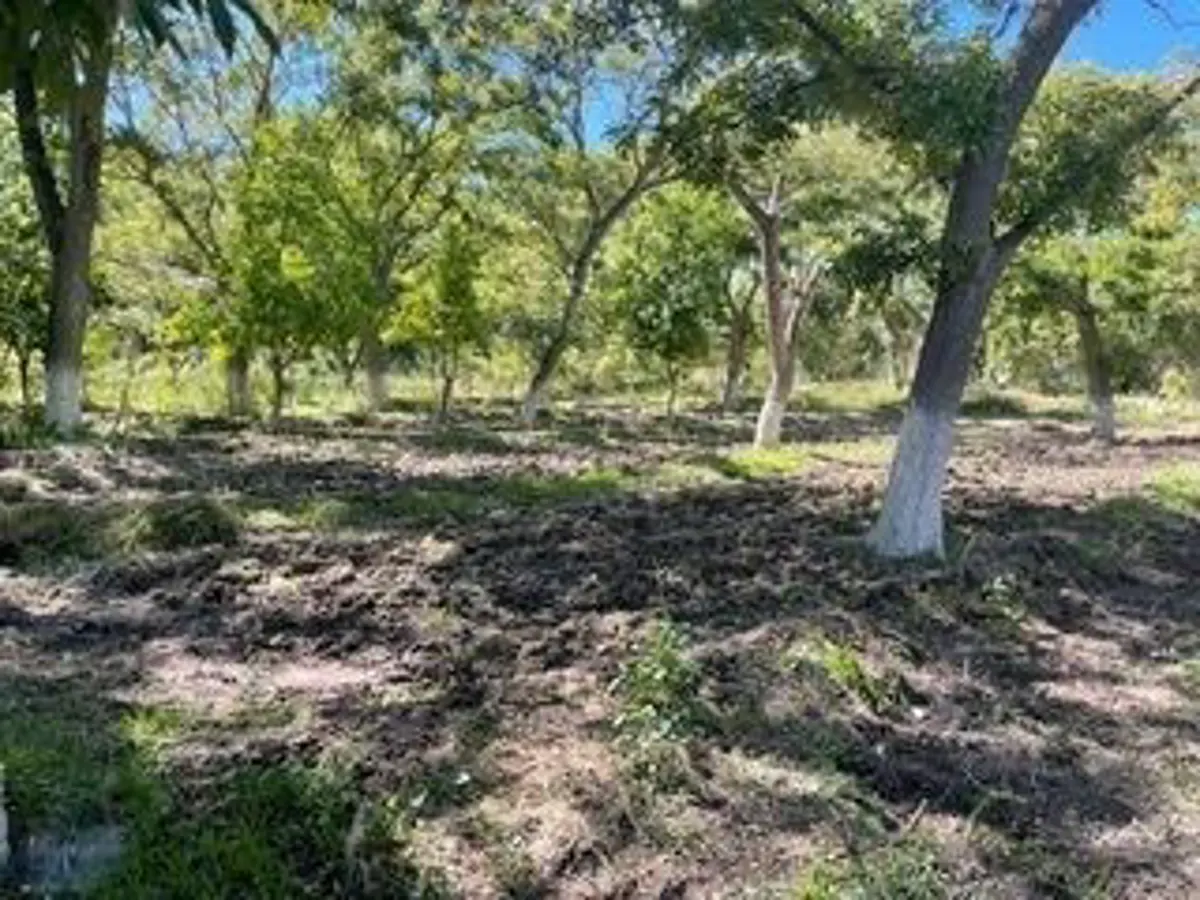 TERRENO EN VENTA EN PARRAS DE LA FUENTE, COAHUILA TERRENO EN VENTA EN PARRAS DE LA FUENTE, COAHUILA