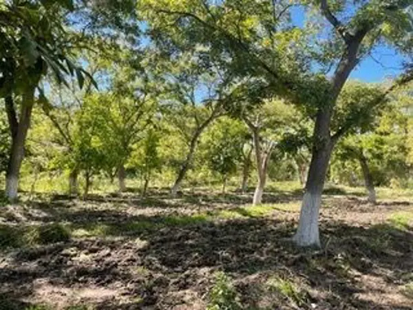 Terreno en venta en Parras, Parras — foto 2 de 3