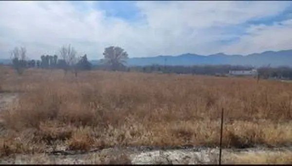 Terreno en venta en Parras de la Fuente Centro, Parras — foto 3 de 6