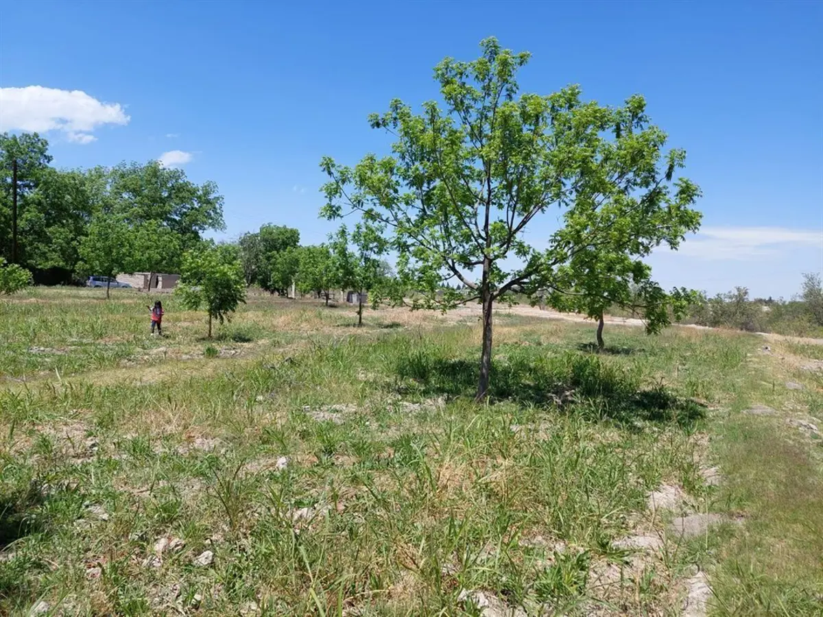TERRENO EN VENTA EN PARRAS, COAHUILA TERRENO EN VENTA EN PARRAS, COAHUILA