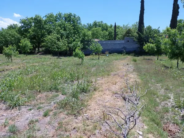 Terreno en venta en Ojo de Agua, Parras — foto 3 de 5