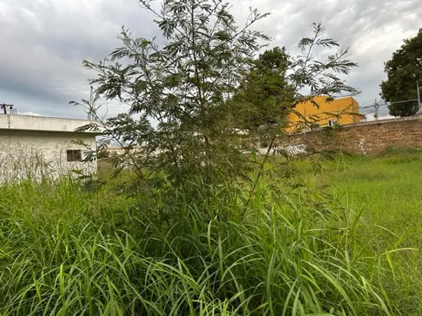 Terreno en renta en Mitras Norte, Monterrey — foto 3 de 3