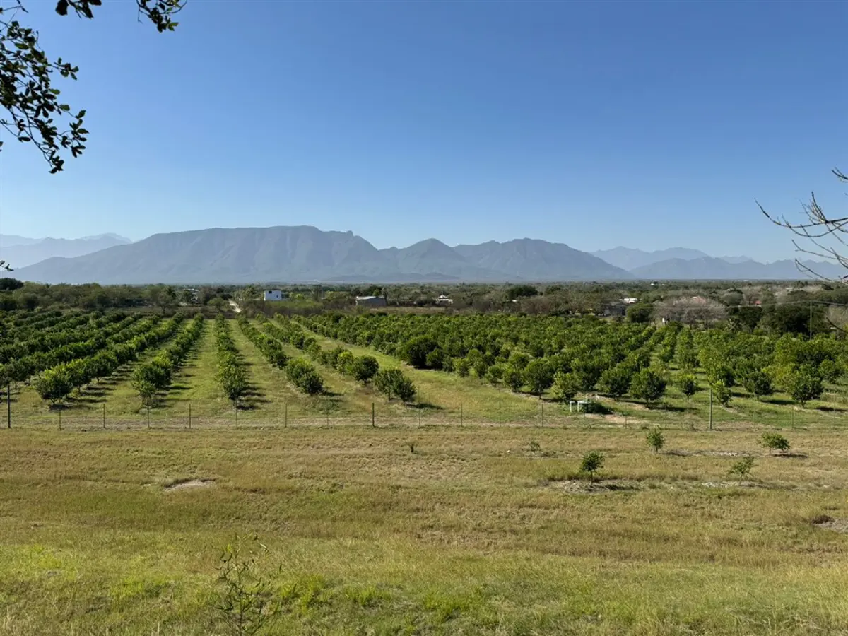 Terreno en venta en La Union, Cadereyta Jiménez — foto 1 de 5