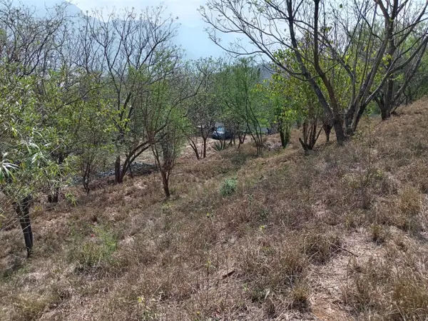 Terreno en venta en Rancho la Bola, Monterrey — foto 3 de 6