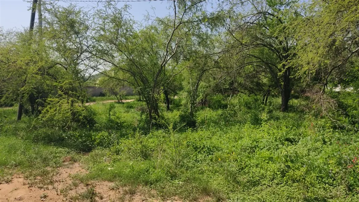 TERRENO EN VENTA EN EL BARRIAL TERRENO EN VENTA EN EL BARRIAL