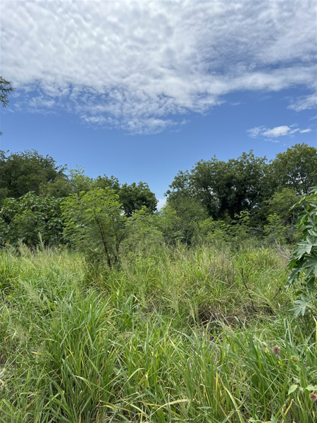 Terreno en renta en Sección Buenavista, Allende — foto 3 de 6