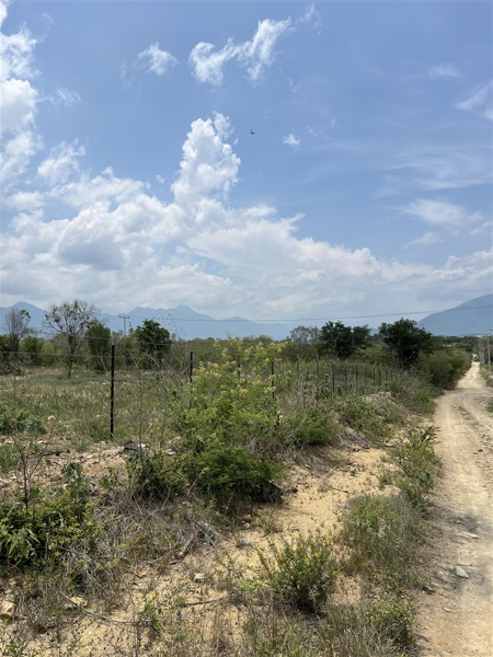 Terreno en venta en Paso Hondo, Allende — foto 2 de 6