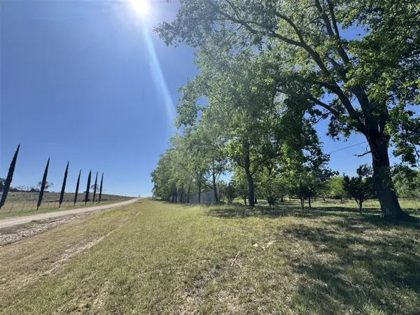 Terreno en venta en Las Palmas, Montemorelos — foto 3 de 11