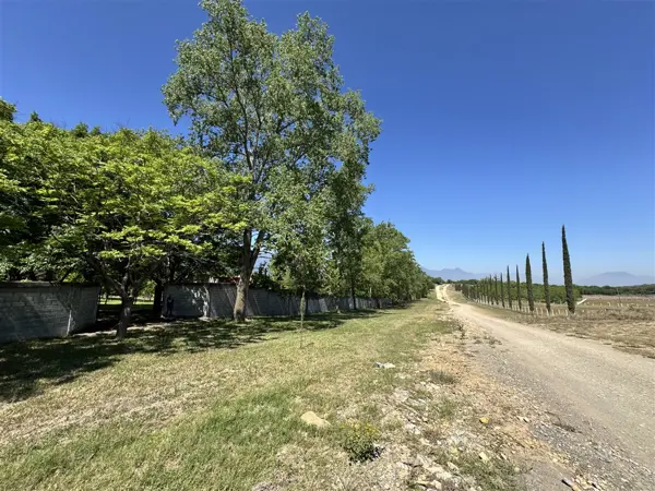 Terreno en venta en Las Palmas, Montemorelos — foto 2 de 11