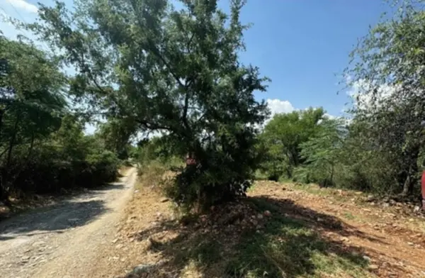 Terreno en venta en Los Rodriguez, Santiago — foto 3 de 9