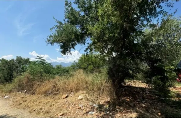 TERRENO EN VENTA EN LOS RODRIGUEZ, SANTIAGO, N.L. TERRENO EN VENTA EN LOS RODRIGUEZ, SANTIAGO, N.L.