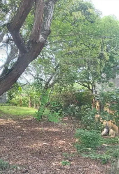 Terreno en venta en Paso del Toro, Medellín de Bravo — foto 3 de 5
