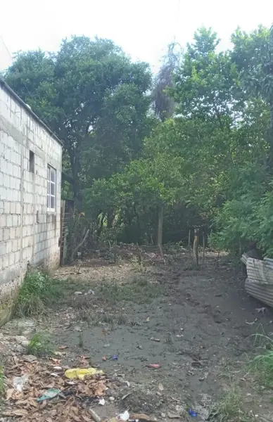 Terreno en venta en Paso del Toro, Medellín de Bravo — foto 2 de 5