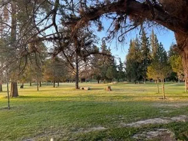 Terreno en venta en Rincon del Montero, Parras — foto 3 de 9
