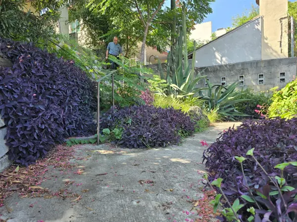 Casa en venta en Vista Hermosa, Monterrey — foto 2 de 4