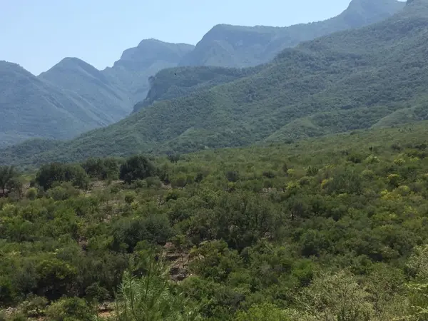 Terreno en Venta el Barrial