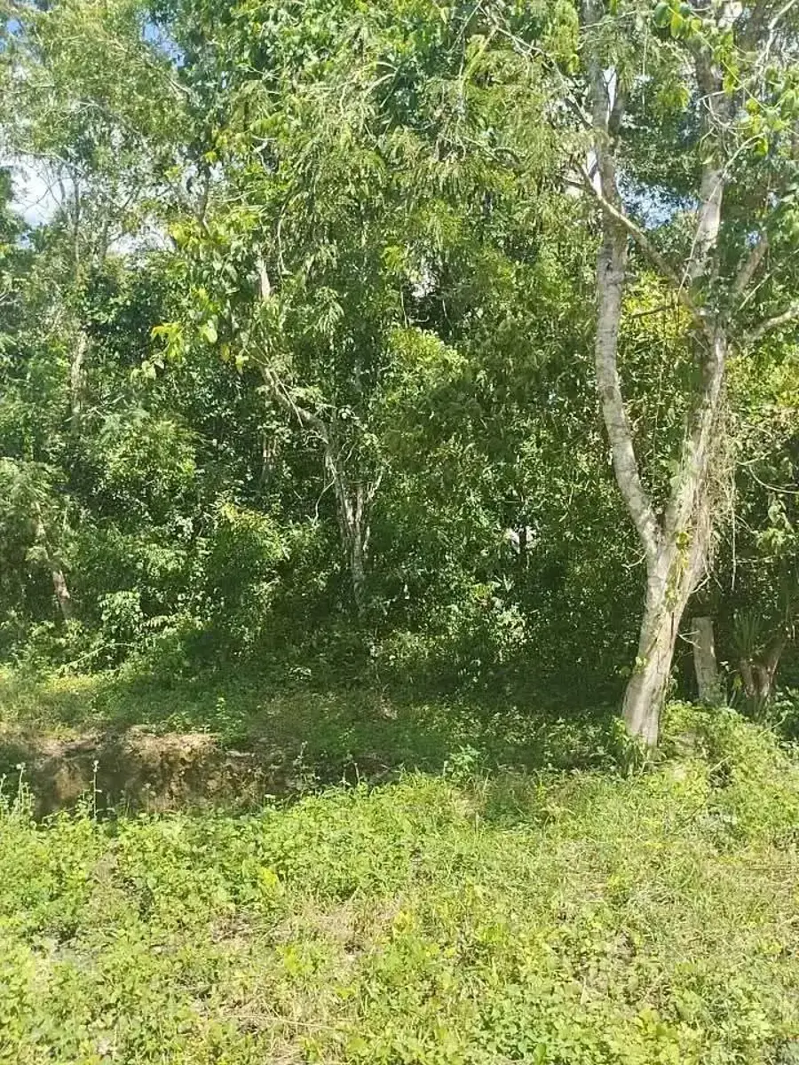 Terreno en venta en Chunyaxché, Felipe Carrillo Puerto — foto 1 de 5