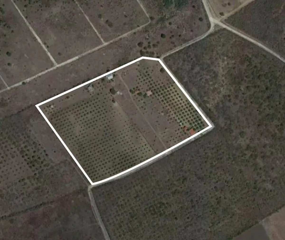 Terreno en venta en Palmitos (Hacienda Palmitos), Cadereyta Jiménez — foto 1 de 8