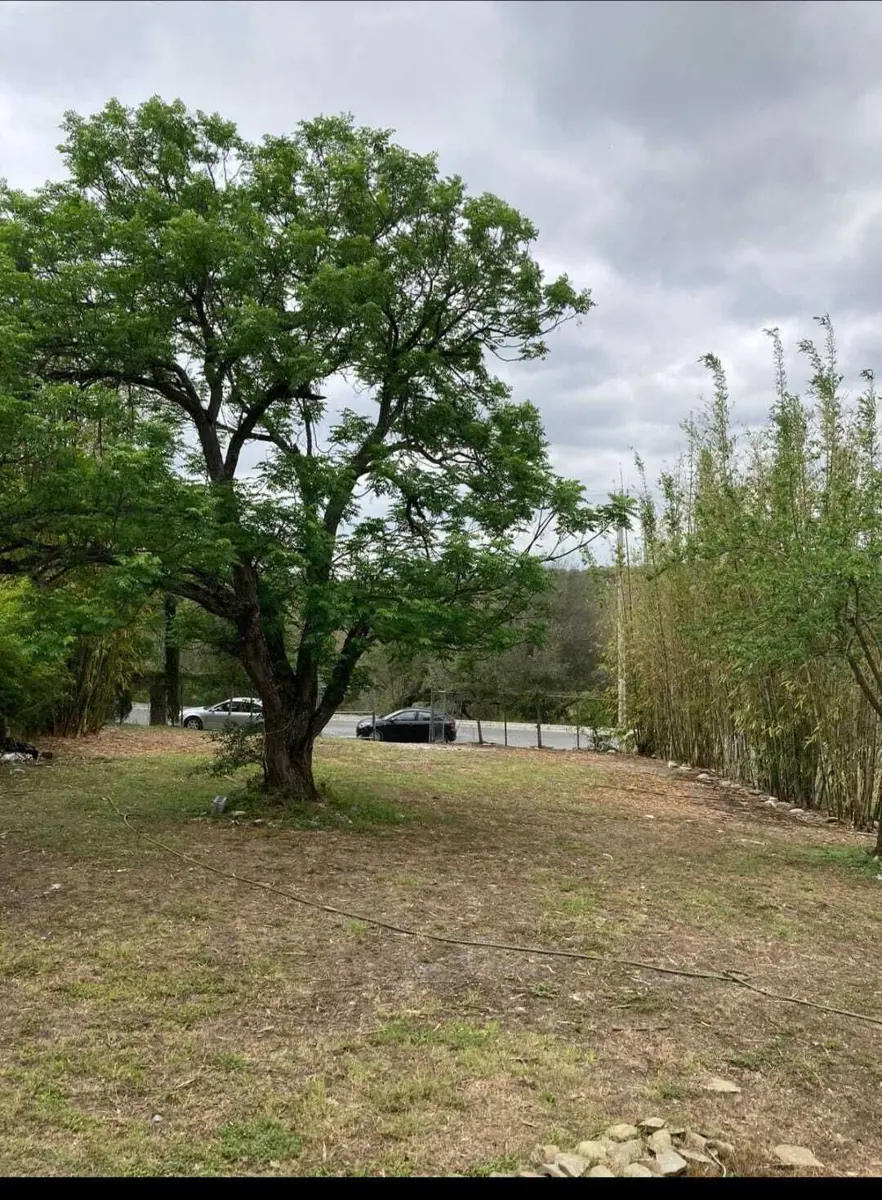 Terreno en venta en El Fraile, Montemorelos — foto 1 de 11