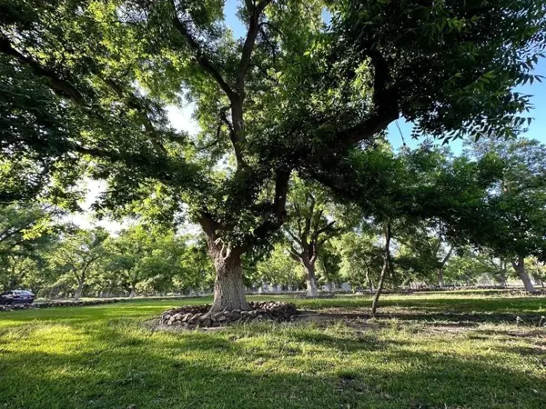 Terreno en venta en Parras, Parras — foto 2 de 14