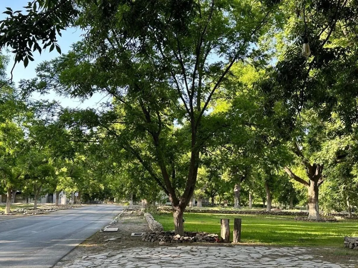 Terreno en venta en Parras, Parras — foto 1 de 14