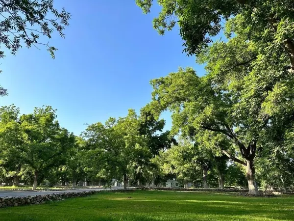 Terreno en venta en Parras, Parras — foto 3 de 14
