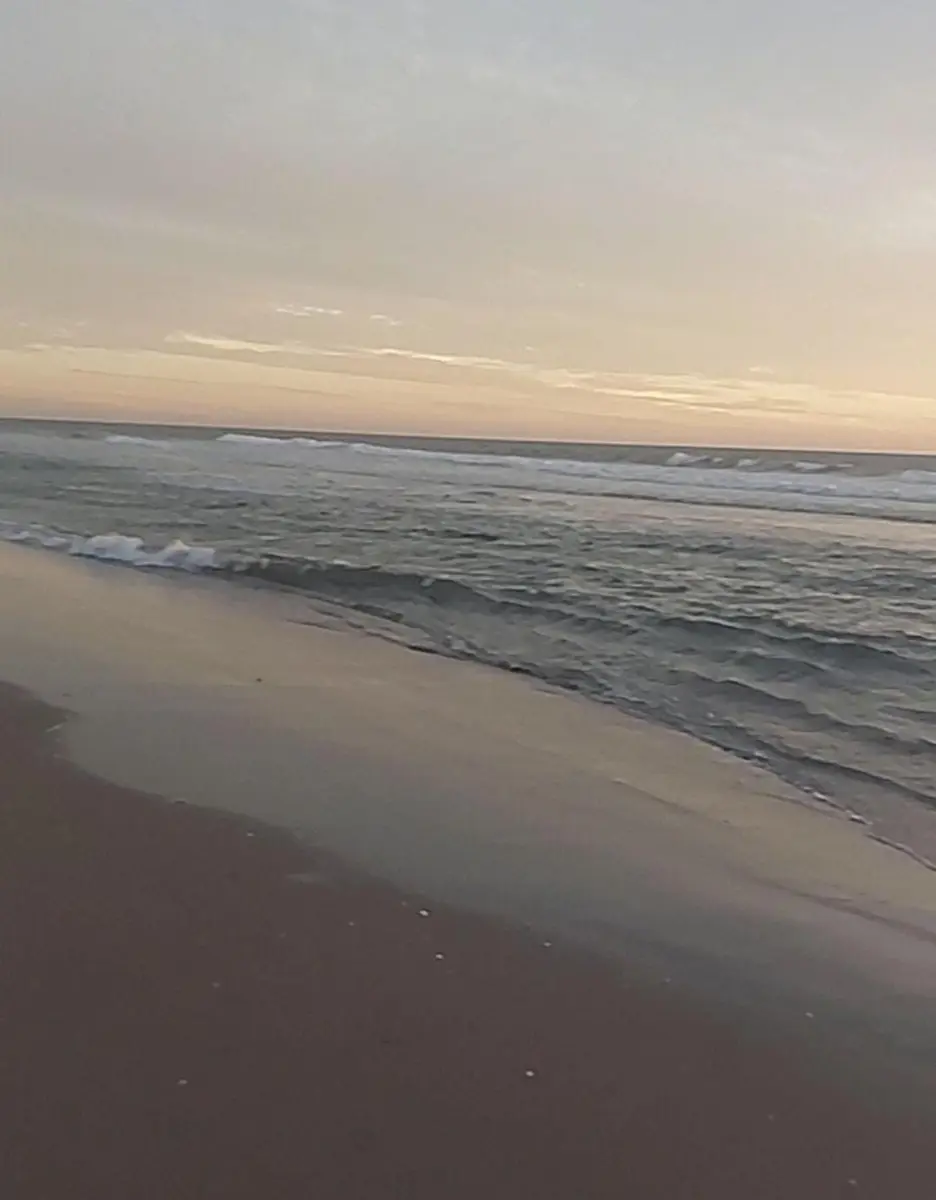 Terreno en venta en Isla de la Piedra, Mazatlán — foto 1 de 3