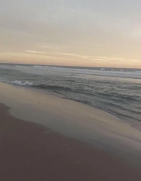 TERRENO EN VENTA ISLA DE LA PIEDRA, MAZATLÁN, SINALOA.