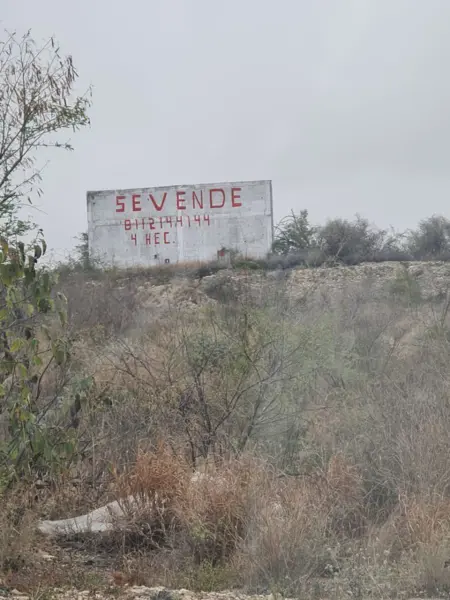 Terreno en venta en Pesquería, Pesquería — foto 3 de 4