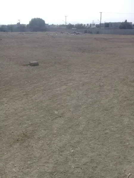 Terreno en venta en Las Rosas, Saltillo — foto 2 de 5